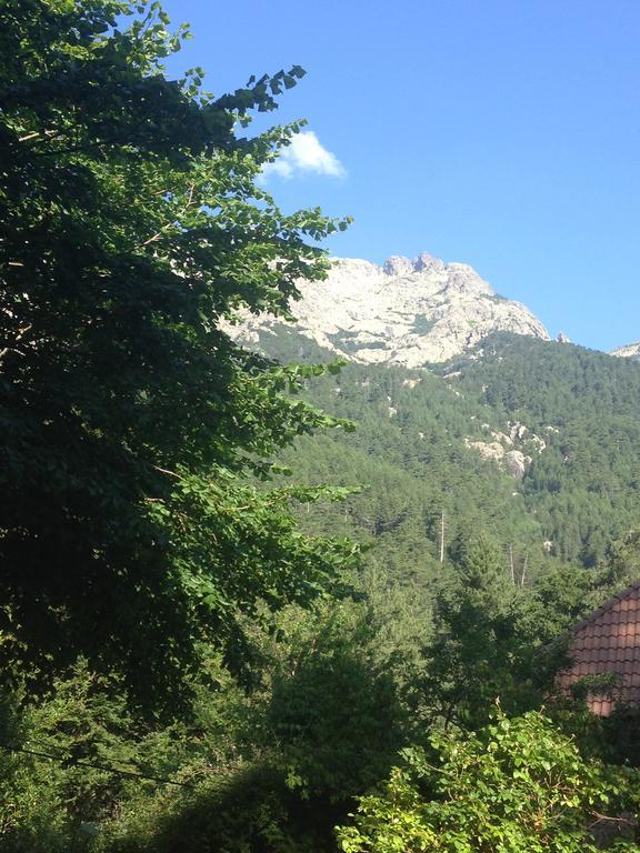 Le Vizzavona Hotel Bagian luar foto